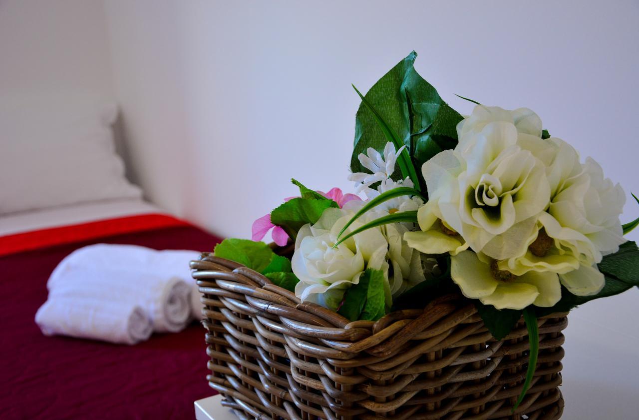 אלקאמו Sui Tetti B&B מראה חיצוני תמונה